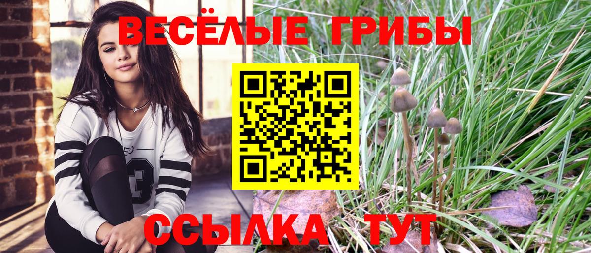 Соль-Илецк  Псилоцибиновые грибы мухоморы  Вход с VPN 